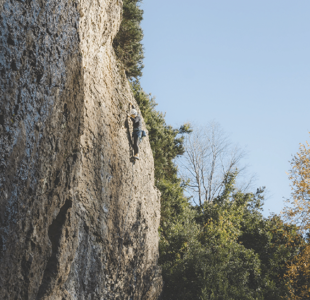 A rock climber in Relicura equipped with a helmet and harness scales a steep, textured cliff face, bordered by lush green trees under a clear blue sky.